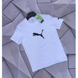 Фотография Футболка мужская W26845 white р.S-2XL "Verton" недорого оптом от прямого поставщика