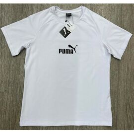 Фотография Футболка мужская W26874 white р.M-3XL "Verton" недорого оптом от прямого поставщика