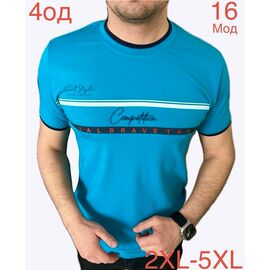 Фотография Футболка мужская ND1218-16 l.blue р.2XL-5XL "EMRE" недорого оптом от прямого поставщика