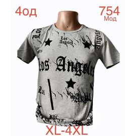 Фотография Футболка мужская ND1230-754 grey р.XL-4XL "EMRE" недорого оптом от прямого поставщика