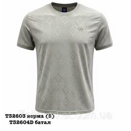 Футболка чоловіча молодіжна однотонна р-ри L-4XL (6кв) "SKAY" недорого гуртом від прямого постачальника