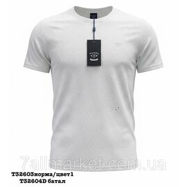 Футболка чоловіча молодіжна однотонна БАТАЛ р-ри 5XL-9XL (4цв) "SKAY" недорого гуртом від прямого постачальника