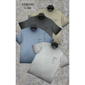 Футболка чоловіча молодіжна р-ри L-4XL (4 кв) "PROSTOMEN" недорого гуртом від прямого постачальника