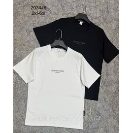 Футболка чоловіча молодіжна напівбатал р-ри 2XL-6XL (4цв) "PROSTOMEN" недорого гуртом від прямого постачальника