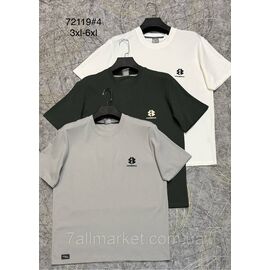 Футболка чоловіча молодіжна напівбатал р-ри 3XL-6XL (4цв) "PROSTOMEN" недорого гуртом від прямого постачальника