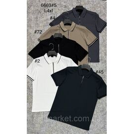 Футболка-поло чоловіча молодіжна р-ри L-4XL (5 кв) "PROSTOMEN" недорого гуртом від прямого постачальника