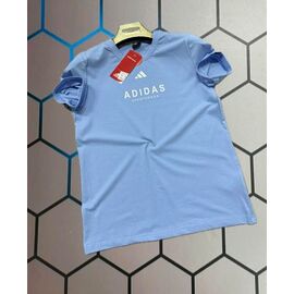 Футболка чоловіча 14009 l.blue р.S-2XL "Alex Clothes" недорого оптом від прямого постачальника