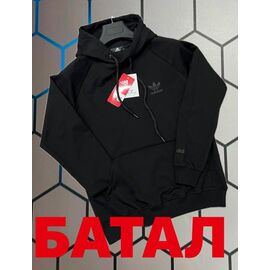 Худи чоловічий 14050 black р.2XL-6XL "Alex Clothes" недорого оптом від прямого постачальника