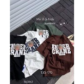 Фотография Футболка детская на мальчика M2842 white р.9-13 "Фунтик" недорого оптом от прямого поставщика