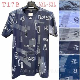 Футболка чоловіча молодіжна батал р-ри 6XL-8XL (мікс кв) "NICOLAS" недорого гуртом від прямого постачальника