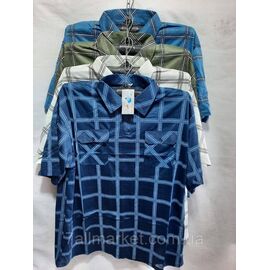 Футболка-поло чоловіча молодіжна батал р-ри 4XL-8XL (мікс кв) "NICOLAS" недорого гуртом від прямого постачальника