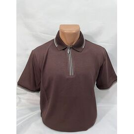 Футболка чоловіча SB1890 brown р.M-2XL "Sabihina" недорого оптом від прямого постачальника