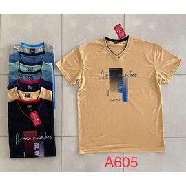 Фотография Футболка мужская A605 mint р.46-54 "Ayden" недорого оптом от прямого поставщика