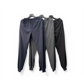 Штани спортивні чоловічі AD1489 l.grey р.46-54 "Ayden" недорого оптом від прямого постачальника