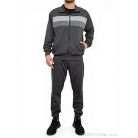 Спортивний костюм чоловічий Весна/осінь 9167 mix (6 шт. р.сіткаM-3XL) "Massmag" недорого оптом від прямого постачальника
