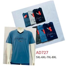 Фотография Футболка мужская AD727 l.blue р.5XL-8XL "Ayden" недорого оптом от прямого поставщика