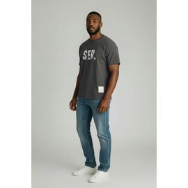 Фотография Футболка мужская BR915 grey-432g-43215-433 р.M-3XL "2BRO" недорого оптом от прямого поставщика