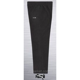 Фотография Спортивные штаны мужские прямые PUMA размеры 2XL-6XL (2цв) "REMAIN" недорого от прямого поставщика