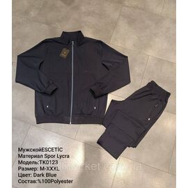 Спортивний чоловічий костюм мікрофібра холодок ESCETIC розміри M-3XL (2кв) "REMAIN" купити недорого від прямого постачальника