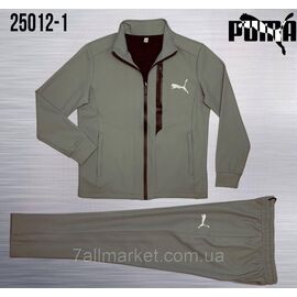 Спортивний чоловічий костюм на блискавці Пума розміри M-3XL (5 кв) "REMAIN" купити недорого від прямого постачальника
