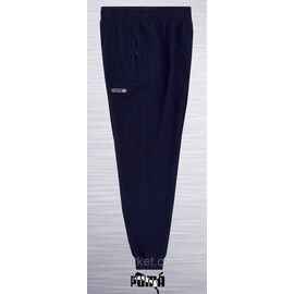 Фотография Спортивные штаны мужские на  манжете Пума размеры S-2XL (3цв) "REMAIN" недорого от прямого поставщика