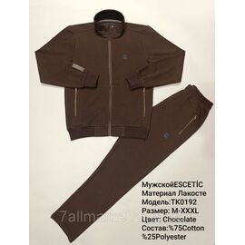 Фотография Спортивный мужской костюм на молнии  ESCETIC размеры  M-3XL (5цв) "REMAIN" купить недорого от прямого поставщика