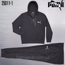 Спортивний чоловічий костюм трикотажний Пума розміри M-3XL (4 кв) "REMAIN" купити недорого від прямого постачальника