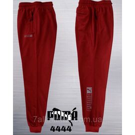 Спортивні штани чоловічі на манжеті Пума розміри 2XL-6XL "REMAIN" недорого від прямого постачальника
