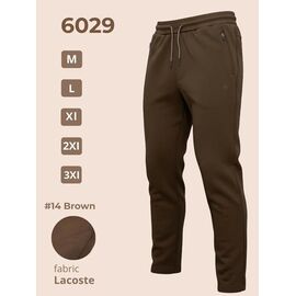 Штани спортивні чоловічі 6029 brown р.M-3XL "2BRO" недорого оптом від прямого постачальника