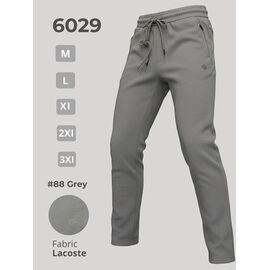 Штани спортивні чоловічі 6029 grey р.M-3XL "2BRO" недорого оптом від прямого постачальника
