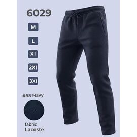 Штани спортивні чоловічі 6029 navy р.M-3XL "2BRO" недорого оптом від прямого постачальника