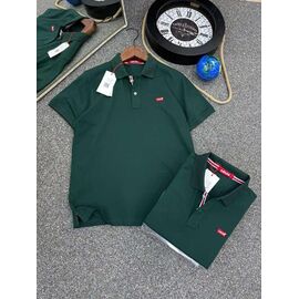 Фотография Футболка мужская BR978 green р.S-2XL "2BRO" недорого оптом от прямого поставщика