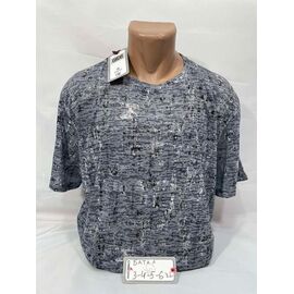 Футболка чоловіча SB1934 grey р.3XL-6XL "Sabihina" недорого оптом від прямого постачальника