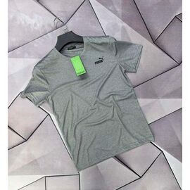 Футболка чоловіча 66761 grey р.S-2XL "MACCALI" недорого оптом від прямого постачальника