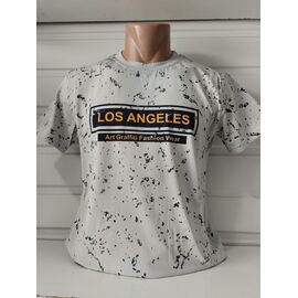 Футболка чоловіча 1793 grey р.S-2XL "RING" недорого оптом від прямого постачальника