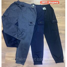 Спортивні штани чоловічі, манжет розміри M-3XL (3 кв) "STELLA" недорого від прямого постачальника