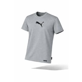 Фотография Шорты мужские 14099 grey р.S-2XL "Alex Clothes" недорого оптом от прямого поставщика