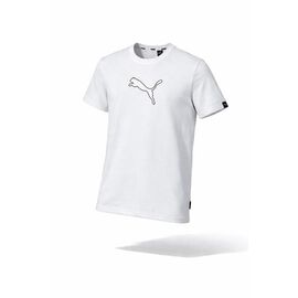 Футболка чоловіча 14103 white р.S-2XL "Alex Clothes" недорого оптом від прямого постачальника