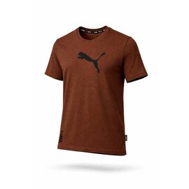 Футболка чоловіча 14106 brown р.S-2XL "Alex Clothes" недорого оптом від прямого постачальника