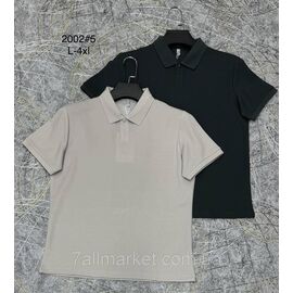 Футболка-поло чоловіча молодіжна р-ри L-4XL (2кв) "PROSTOMEN" недорого гуртом від прямого постачальника