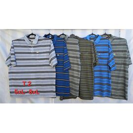 Футболка чоловіча T2 mix р.5XL-8XL "PALMIRA" недорого оптом від прямого постачальника