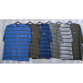 Футболка чоловіча T4 mix р.5XL-8XL "PALMIRA" недорого оптом від прямого постачальника