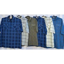 Футболка чоловіча T41 mix р.5XL-8XL "PALMIRA" недорого оптом від прямого постачальника