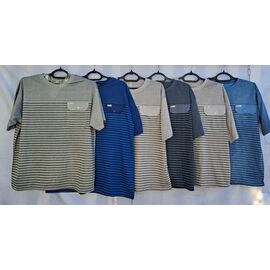 Футболка чоловіча T5 mix р.XL-5XL "PALMIRA" недорого оптом від прямого постачальника