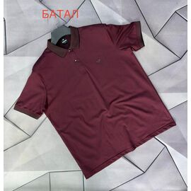 Футболка чоловіча 66847 wine р.XL-5XL "MACCALI" недорого оптом від прямого постачальника