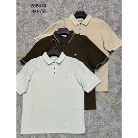 Фотография Футболка-поло мужская молодёжная полу-батал р-ры 4XL-7XL (3цв) "PROSTOMEN" недорого оптом от прямого поставщика