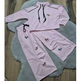 Костюм дитячий спортивний на дівчинку DD164 pink р.104-134 "Limerense" недорого оптом від прямого постачальника