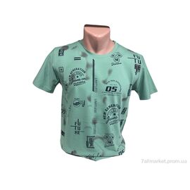 Футболка чоловіча Літо C005 мята (4 шт. р.сіткаM-2XL) "TurkishBrend" недорого оптом від прямого постачальника