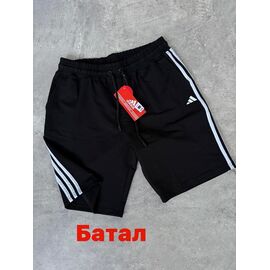 Шорти чоловічі 14121 black р.2XL-6XL "Alex Clothes" недорого оптом від прямого постачальника