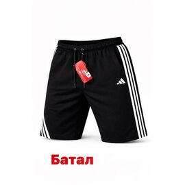 Шорти чоловічі 14158 black р.2XL-6XL "Alex Clothes" недорого оптом від прямого постачальника